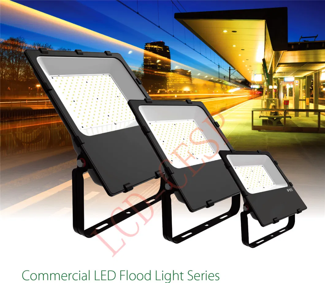 IP66 LED Flood Lights 10W 30W 50W 80W 100W Bowlight Remote Control 150lm/W 6000K Lighting Luminaire